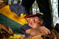 GP_2008_031