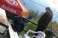 GP_2011_048