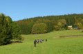GP_2011_076