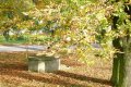 GP_2012_040