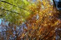 GP_2012_120