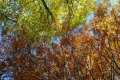 GP_2012_121