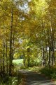 GP_2012_122