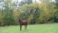 DSC00418