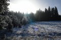 DSC05534