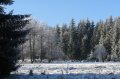 DSC05535