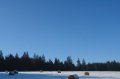 DSC05568