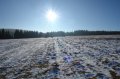 DSC05575